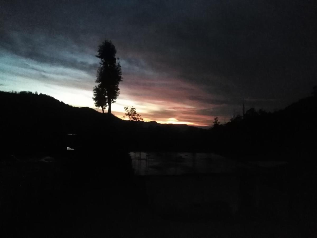 Forest Cyniciam Homestay Ohiya Exterior foto