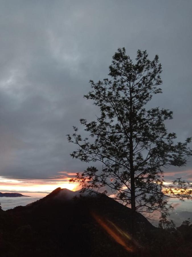Forest Cyniciam Homestay Ohiya Exterior foto