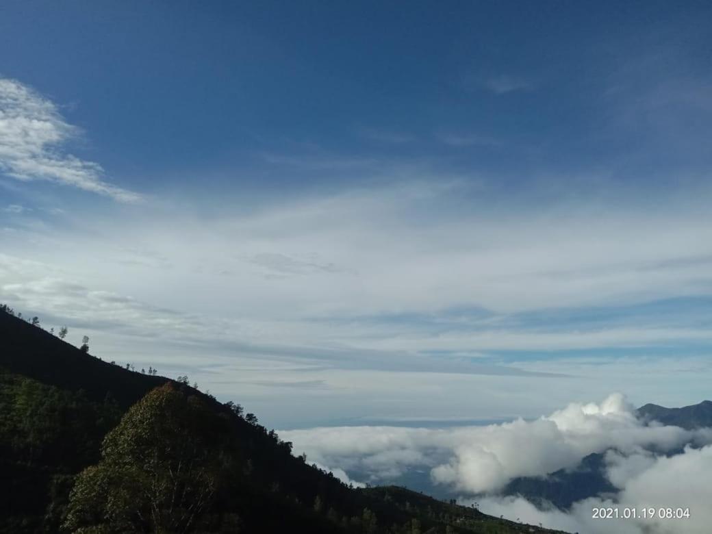 Forest Cyniciam Homestay Ohiya Exterior foto