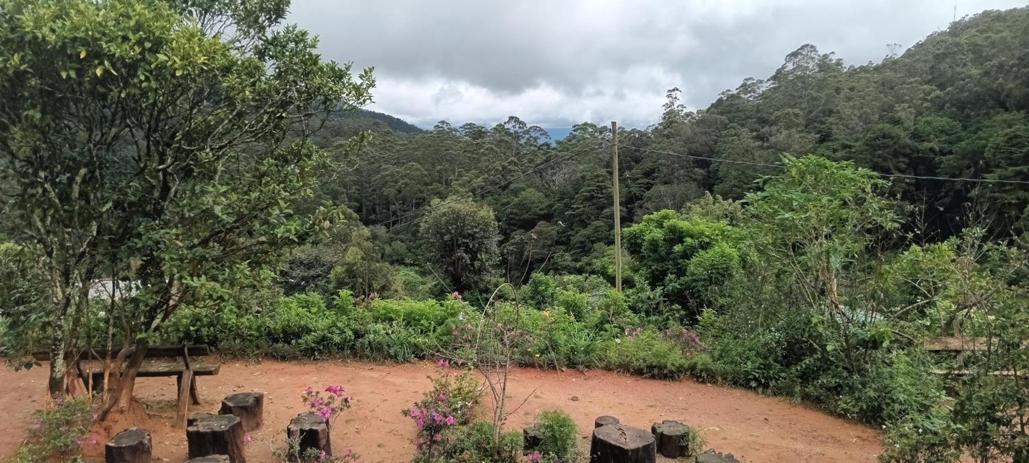 Forest Cyniciam Homestay Ohiya Quarto foto