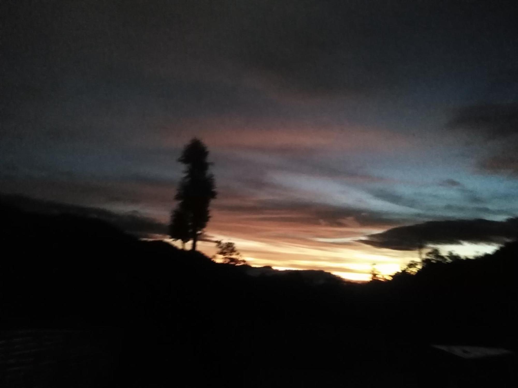Forest Cyniciam Homestay Ohiya Quarto foto