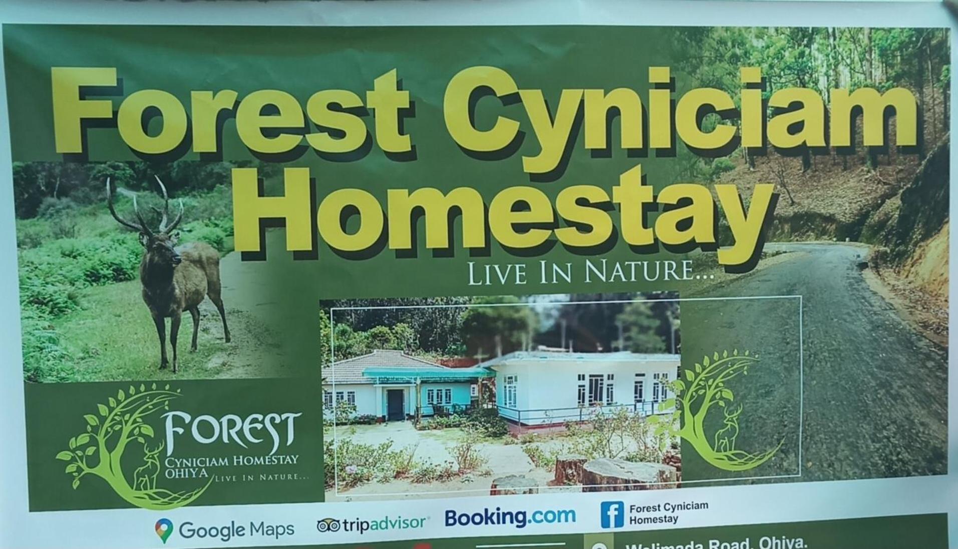 Forest Cyniciam Homestay Ohiya Exterior foto