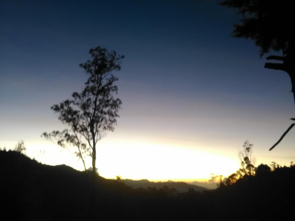 Forest Cyniciam Homestay Ohiya Exterior foto