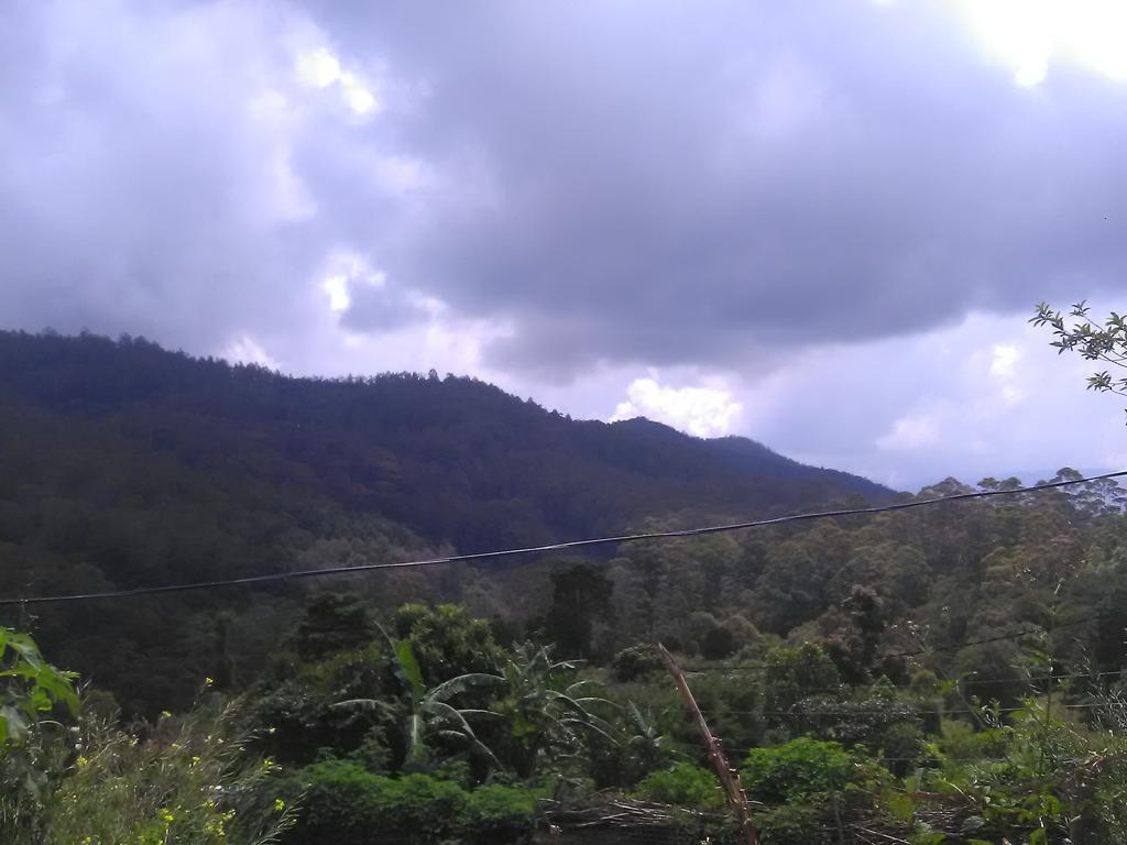 Forest Cyniciam Homestay Ohiya Exterior foto